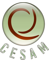 CESAM Formation