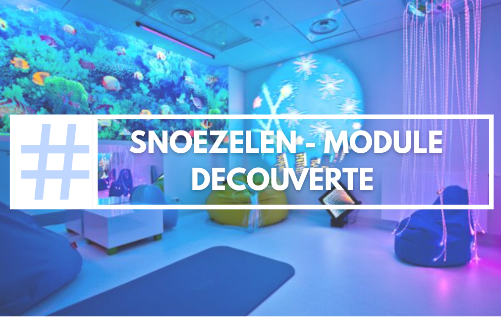 Snoezelen : l'approche de bien-être, relationnelle et sensorielle